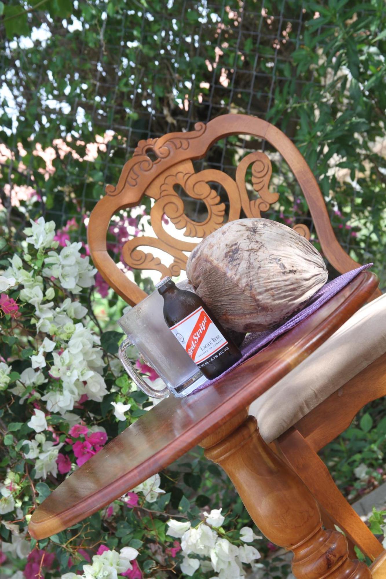 Sweetsop Jamaica Villa And Tours Montego Bay Exteriör bild